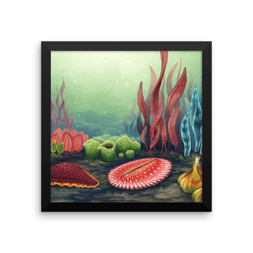 Garden of Ediacara framed print