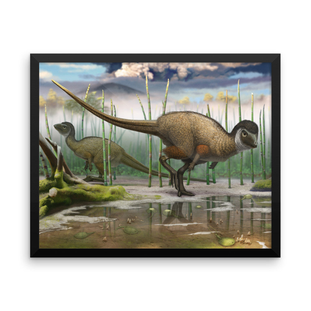 Kulindadromeus framed print