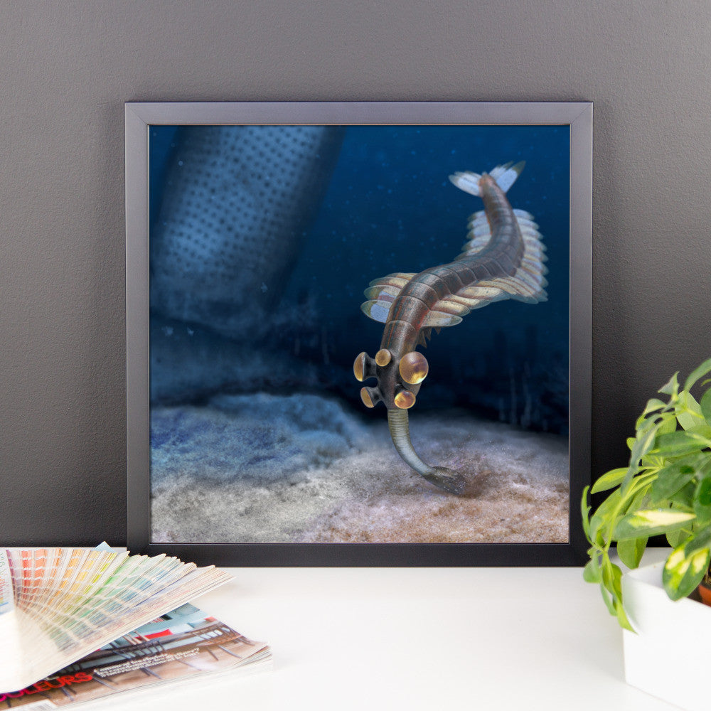 Opabinia framed print