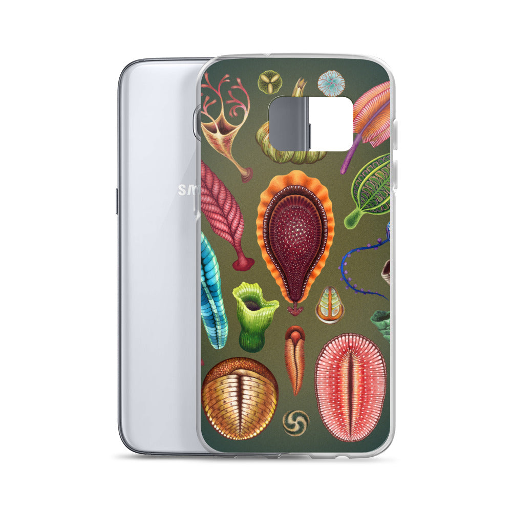 Ediacaran Samsung Case