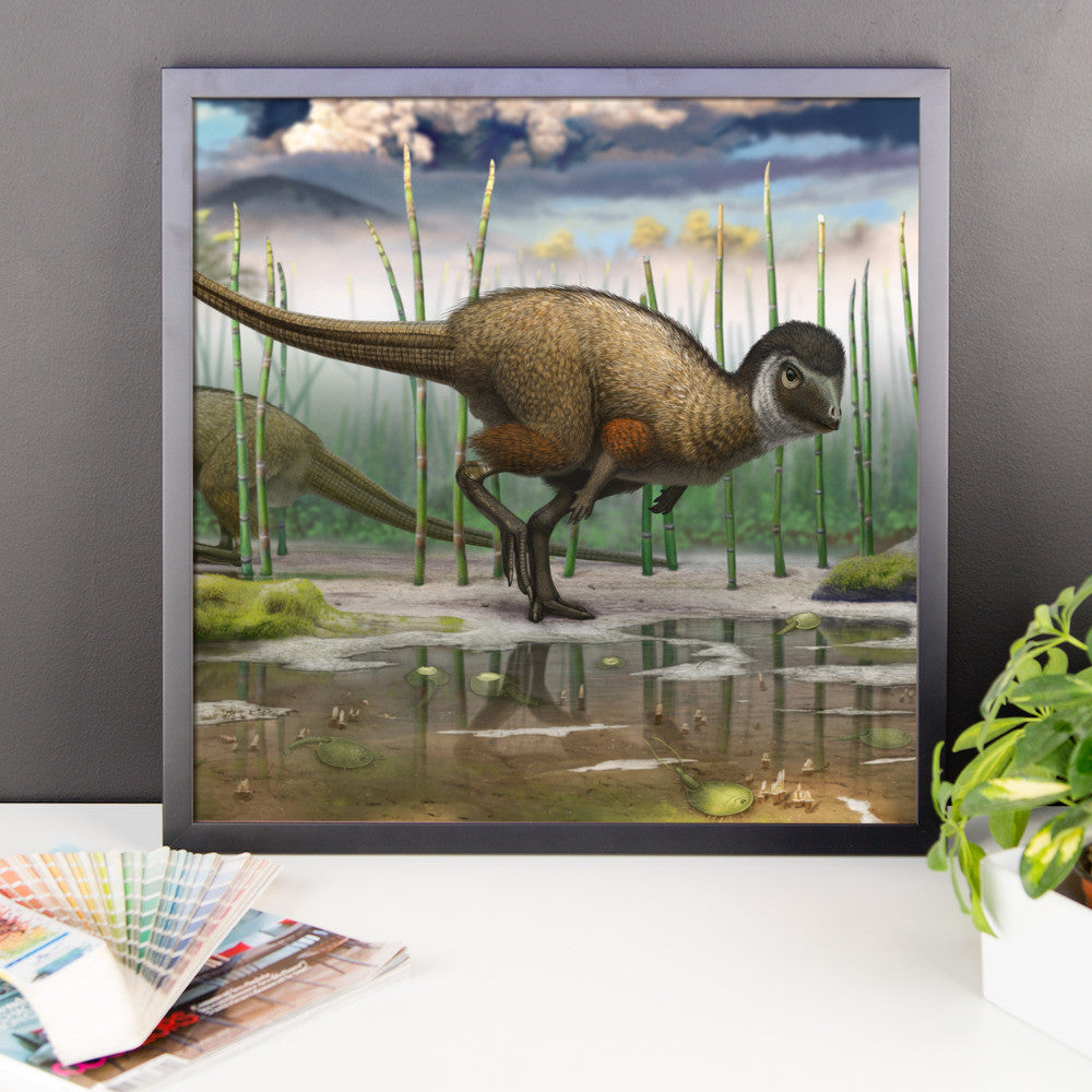 Kulindadromeus framed print