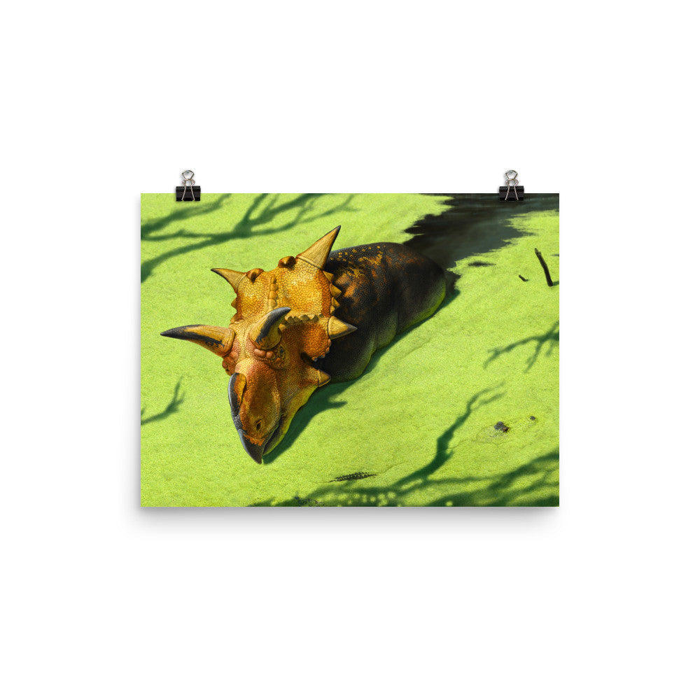 Xenoceratops poster