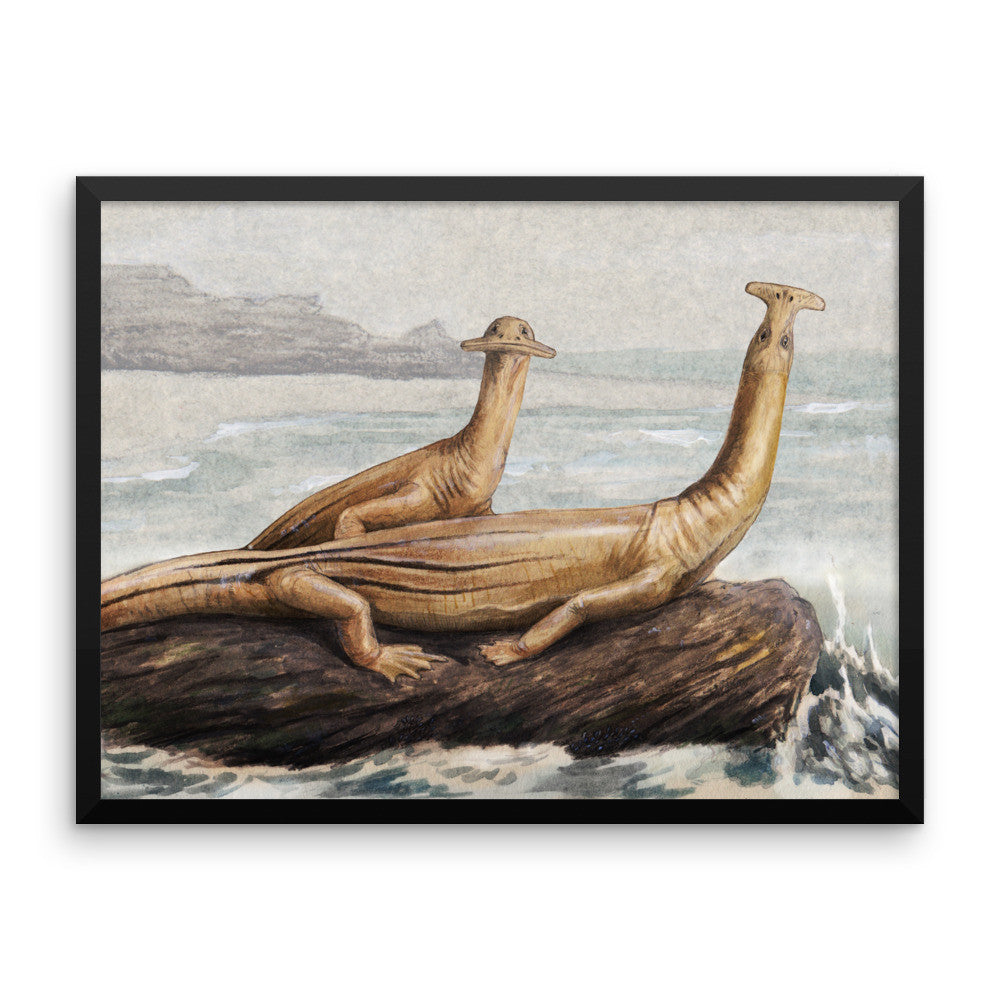 Atopodentatus framed print