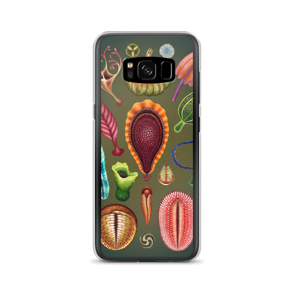 Ediacaran Samsung Case