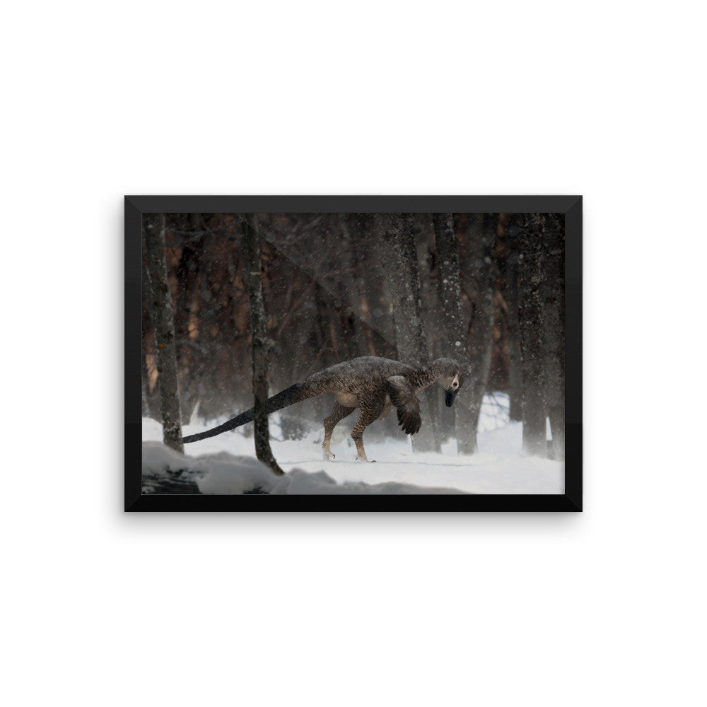 Alaskan troodontid framed print