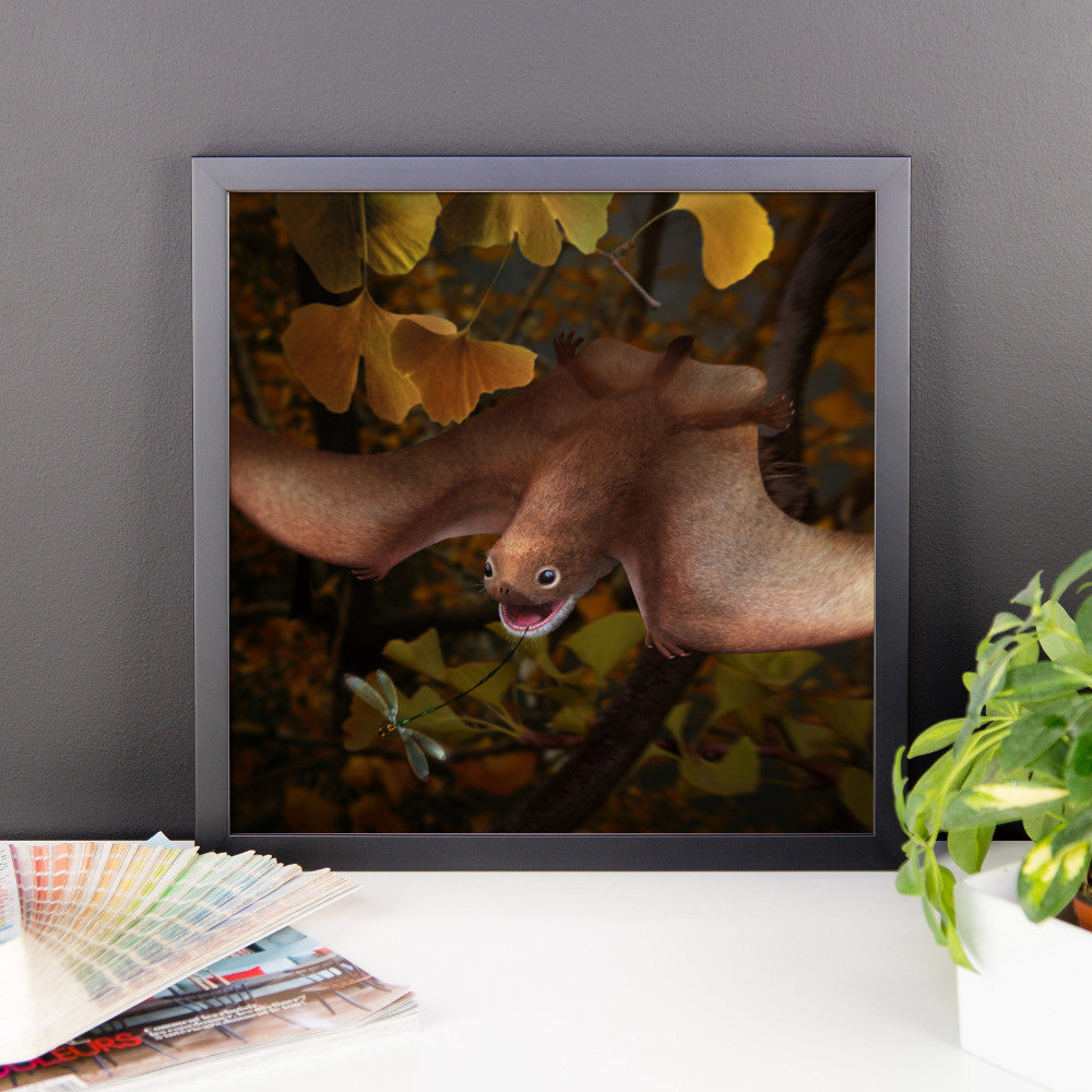 Anurognathus framed print