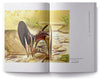 #Paleostream: Sketches of Prehistoric Life by Joschua Knüppe (ebook)