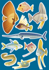 Monte Bolca Fish stickers