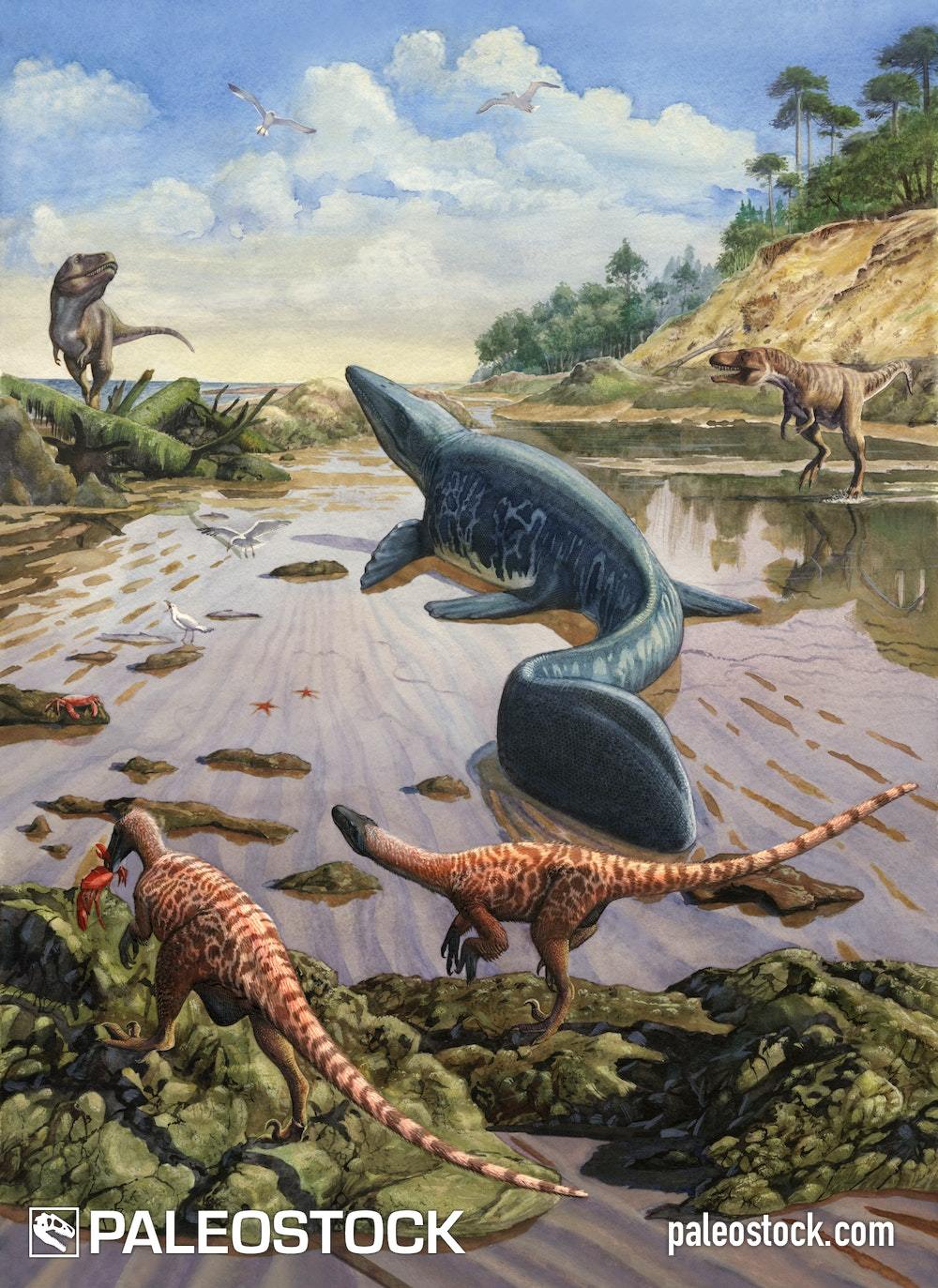 Mosasaurus stock image