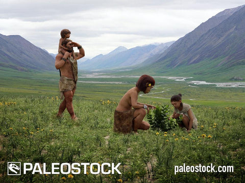 Neanderthal Family stock image