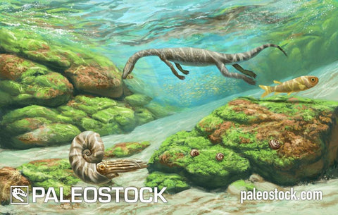 Neusticosaurus stock image