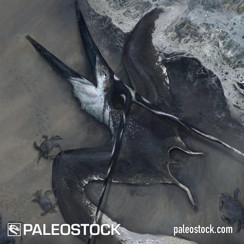 Nyctosaurus Washed Ashore stock image