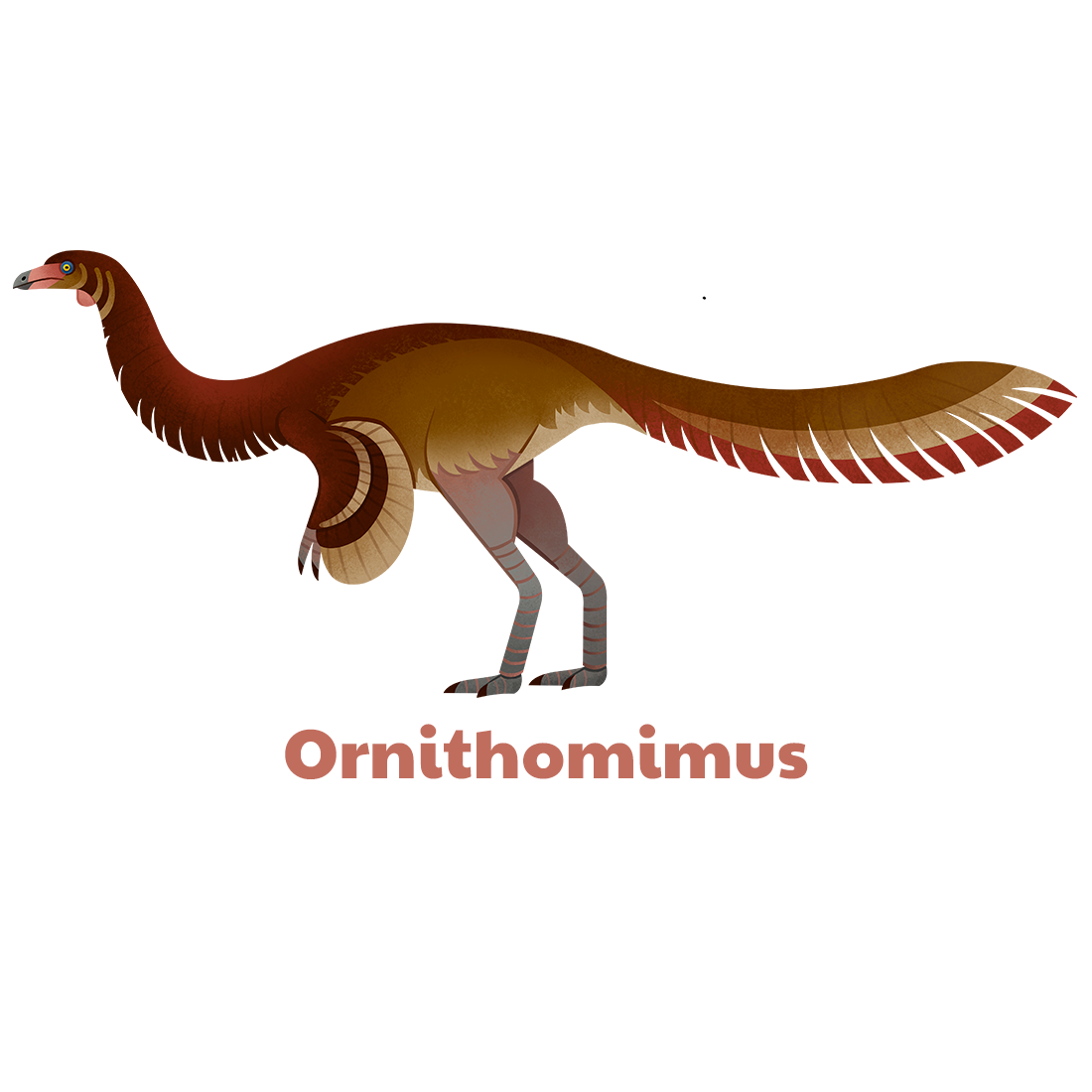 Ornithomimus unisex t-shirt