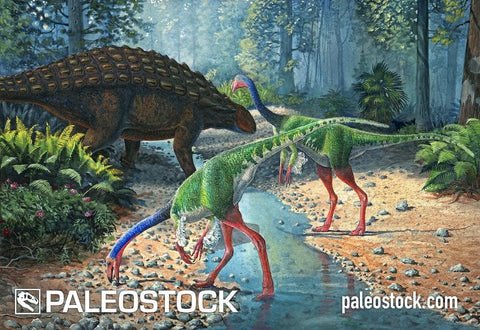 Ornithomimus And Panoplosaurus stock image