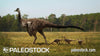 Ornithomimus stock image