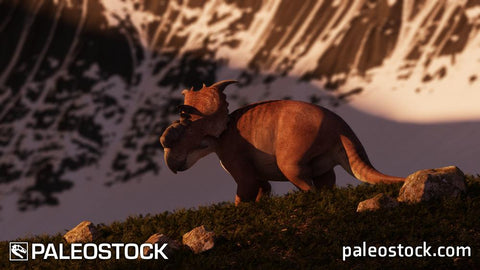 Pachyrhinosaurus stock image