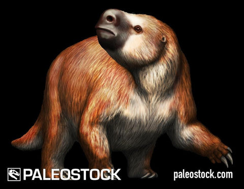 Paramylodon stock image