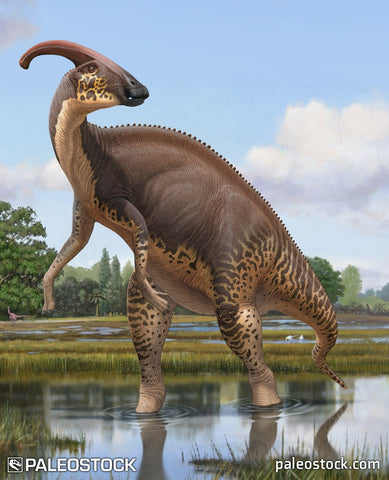 Parasaurolophus stock image