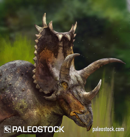 Pentaceratops stock image
