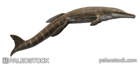 Plesiosuchus stock image