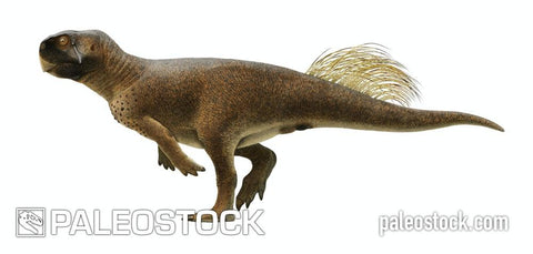 Psittacosaurus stock image