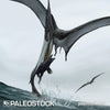 Pteranodon Catches Mosasaur stock image