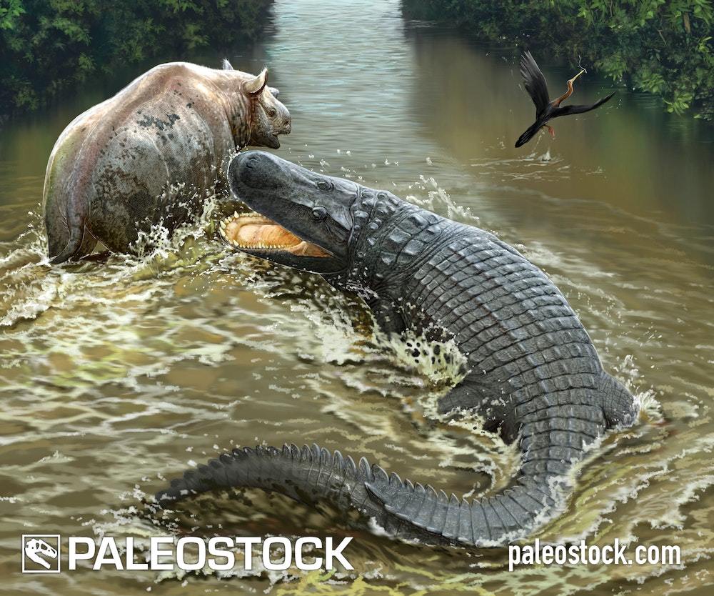 Purussaurus stock image