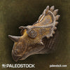 Regaliceratops stock image