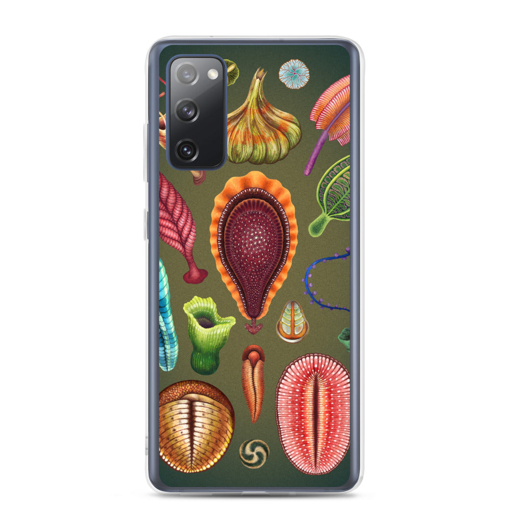 Ediacaran Samsung Case