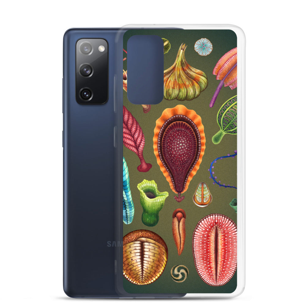 Ediacaran Samsung Case