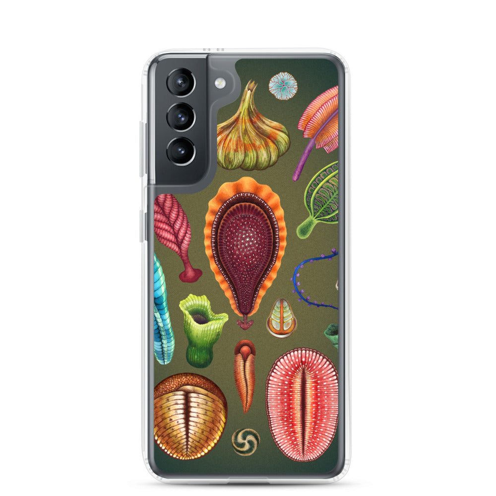 Ediacaran Samsung Case