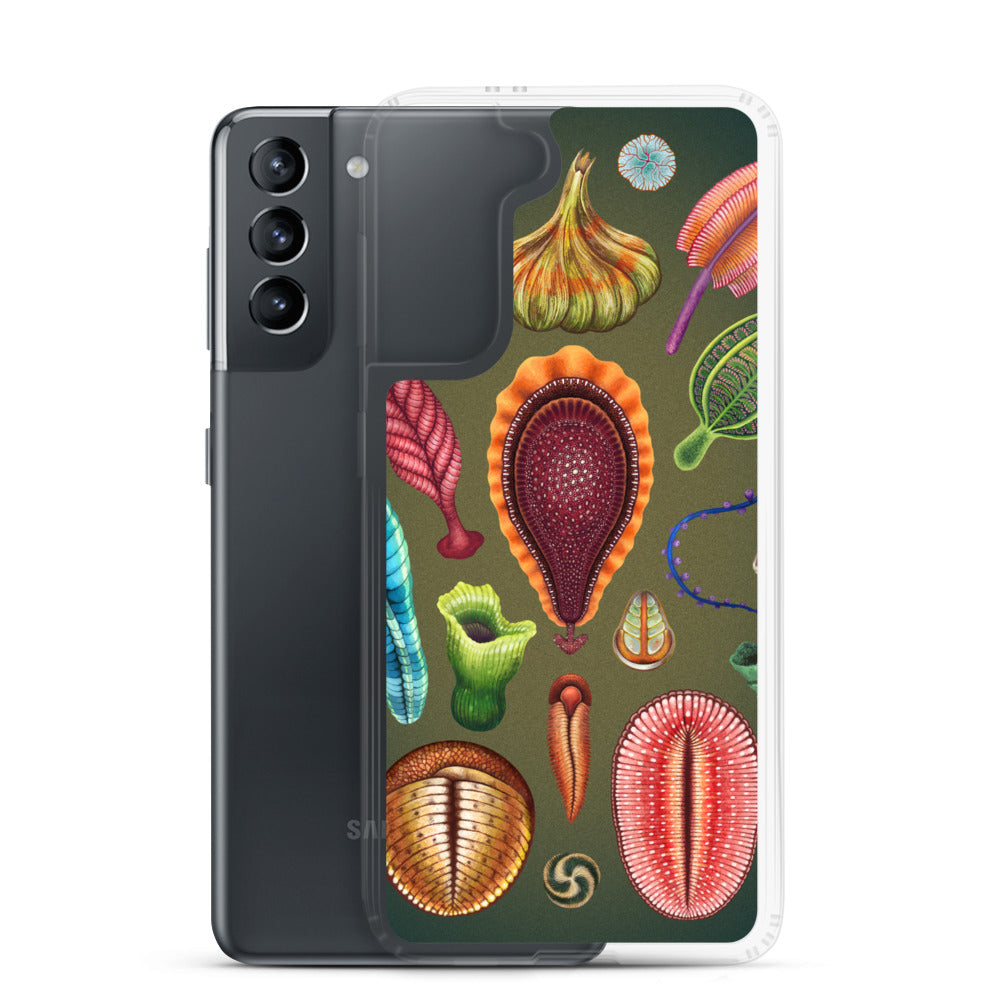 Ediacaran Samsung Case