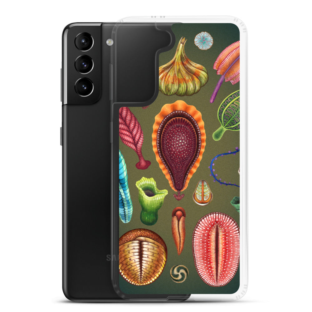 Ediacaran Samsung Case