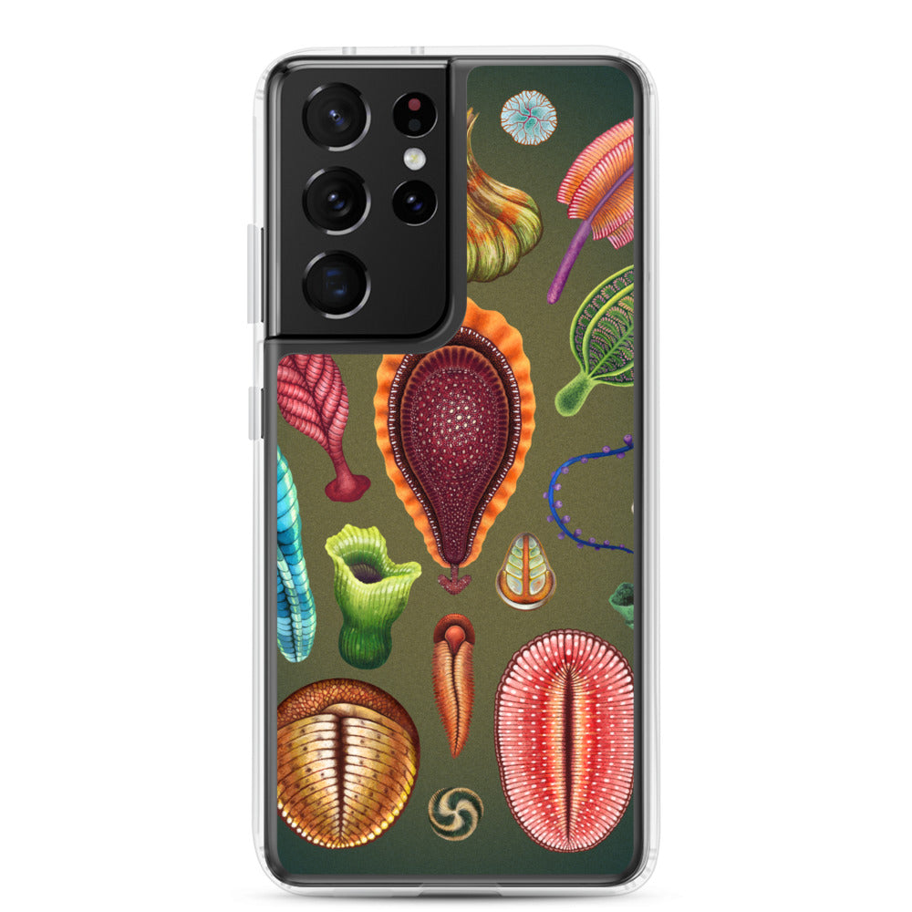 Ediacaran Samsung Case