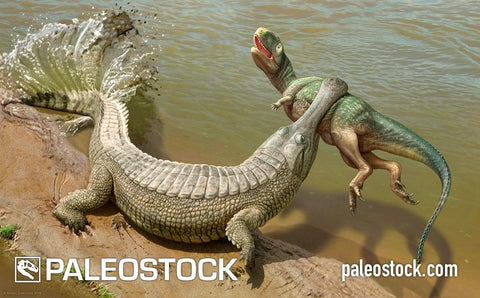 Sarcosuchus Vs Kryptops stock image