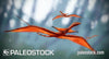 Sharovipteryx stock image