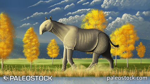 Strolling Paraceratherium stock image