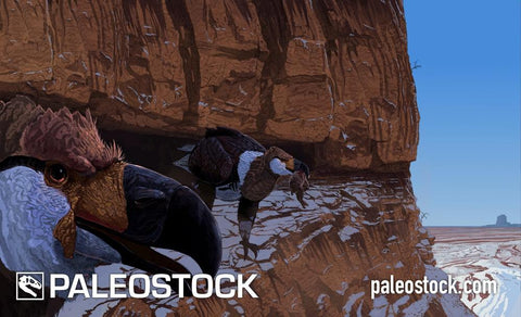 Teratornis Cliffside stock image