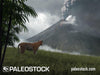 Toba Eruption stock image