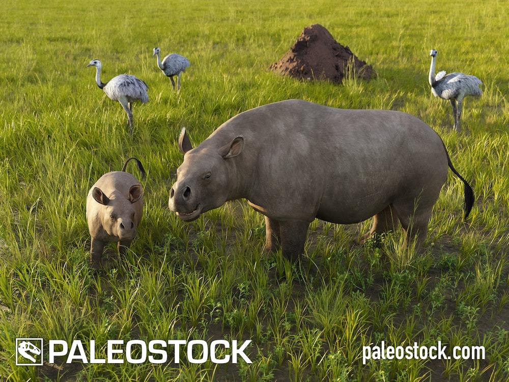 Toxodon and Rheas stock image