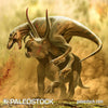 Triceratops vs Juvenile Tyrannosaurus stock image
