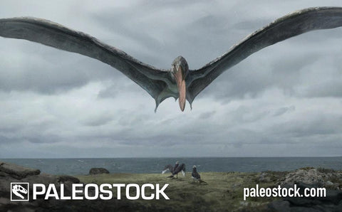 Tropeognathus stock image