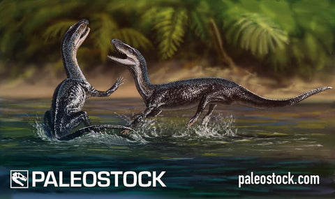 Turfanosuchus stock image