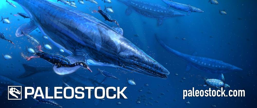 Tylosaurus stock image