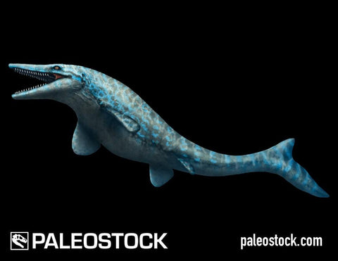 Tylosaurus stock image