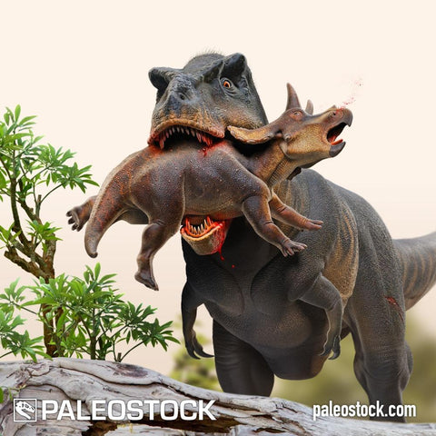 Tyrannosaurus Hunting A Juvenile Triceratops stock image