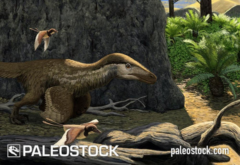 Velociraptor And Gobipteryx stock image