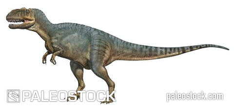 Yangchuanosaurus shangiouensis stock image