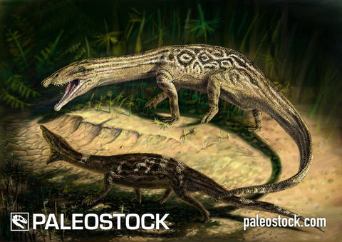 Yarasuchus Deccanensis stock image